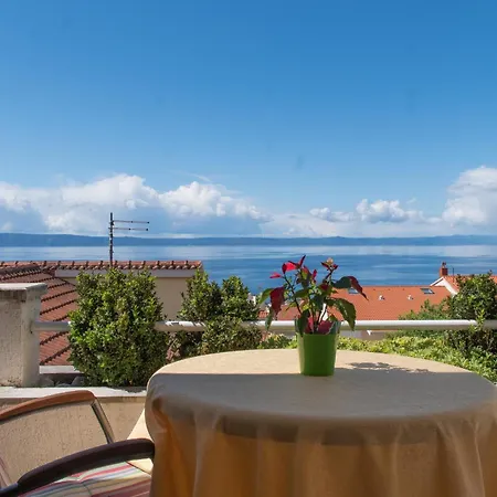 Quiet Area Rose Daire *