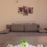 Quiet Area Rose ماكارسكا