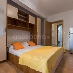 Quiet Area Rose ماكارسكا