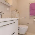 Quiet Area Rose ماكارسكا