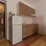 Quiet Area Rose ماكارسكا