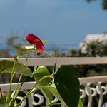 شقة Quiet Area Rose ماكارسكا