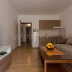 Quiet Area Rose شقة