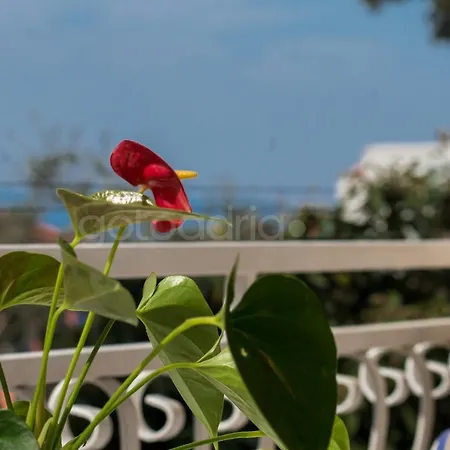 Apartman Quiet Area Rose Makarska