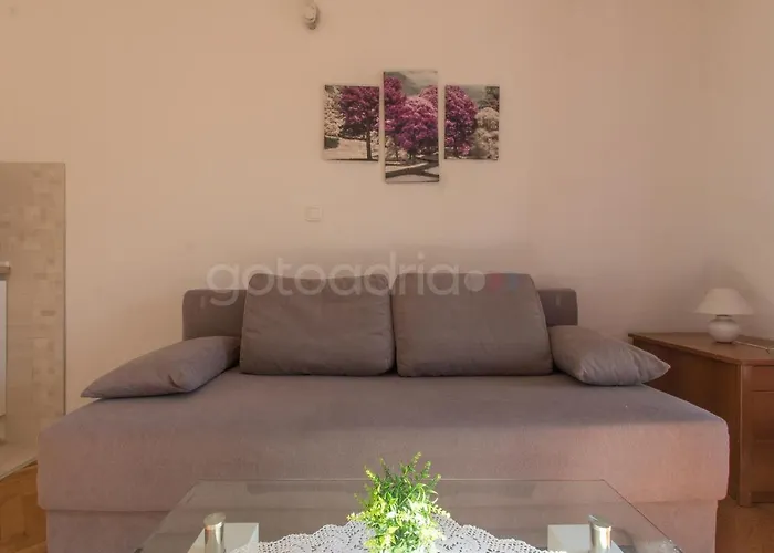 Quiet Area Rose Makarska