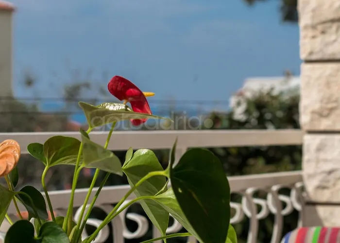 Apartman Quiet Area Rose Makarska